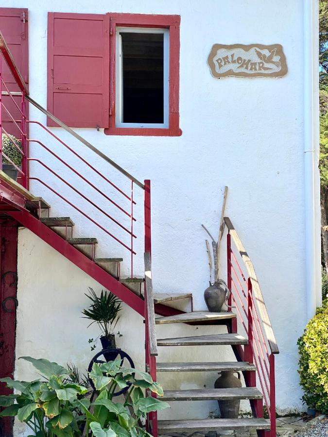 Appartement Palomar, Duplex De Charme 80m2 - 2 Ch - 2 Sdb - Parking Et Terrasse *